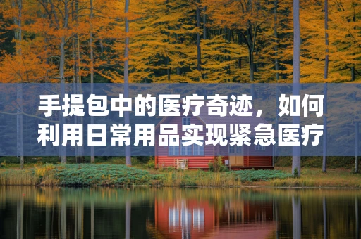 手提包中的医疗奇迹，如何利用日常用品实现紧急医疗救助？