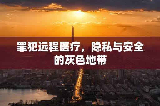 罪犯远程医疗，隐私与安全的灰色地带