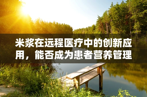 米浆在远程医疗中的创新应用，能否成为患者营养管理的‘新宠’？