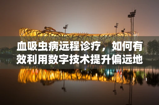 血吸虫病远程诊疗，如何有效利用数字技术提升偏远地区诊疗效率？
