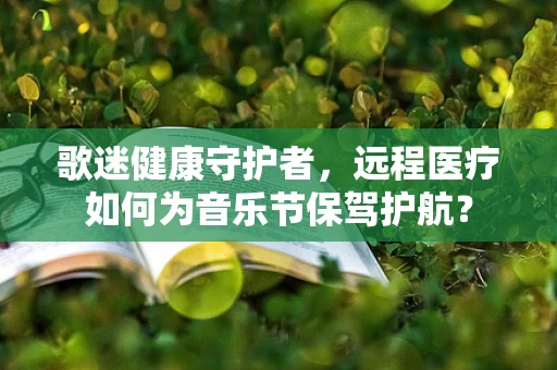 歌迷健康守护者，远程医疗如何为音乐节保驾护航？