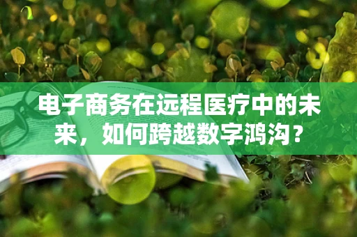 电子商务在远程医疗中的未来，如何跨越数字鸿沟？