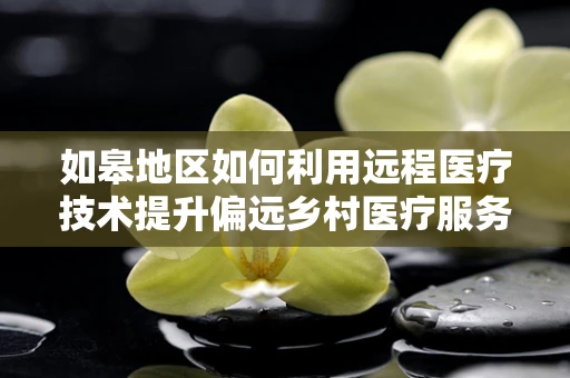如皋地区如何利用远程医疗技术提升偏远乡村医疗服务？