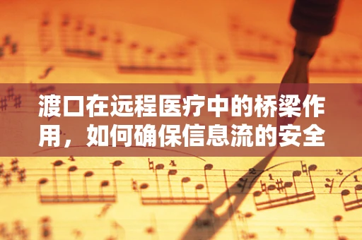 渡口在远程医疗中的桥梁作用，如何确保信息流的安全与高效？