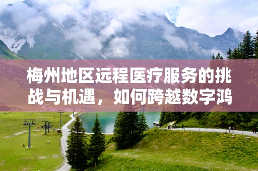 梅州地区远程医疗服务的挑战与机遇，如何跨越数字鸿沟？