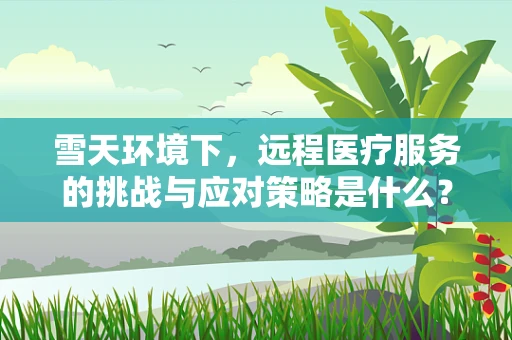 雪天环境下，远程医疗服务的挑战与应对策略是什么？