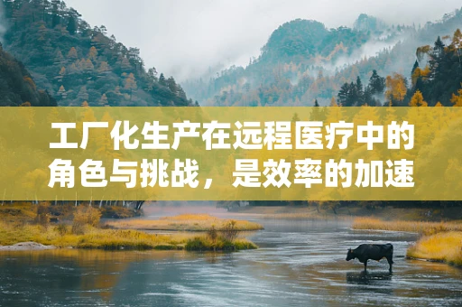 工厂化生产在远程医疗中的角色与挑战，是效率的加速器，还是质量的绊脚石？