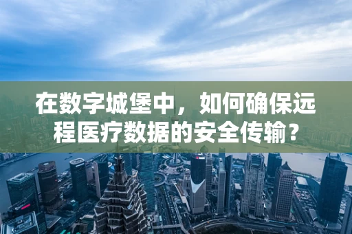 在数字城堡中，如何确保远程医疗数据的安全传输？