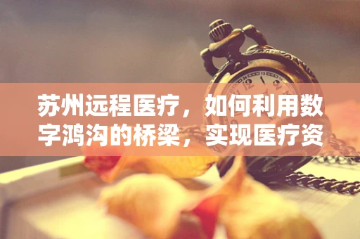 苏州远程医疗，如何利用数字鸿沟的桥梁，实现医疗资源均衡？