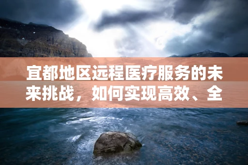 宜都地区远程医疗服务的未来挑战，如何实现高效、全面的医疗资源下沉？