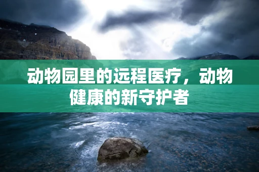 动物园里的远程医疗，动物健康的新守护者