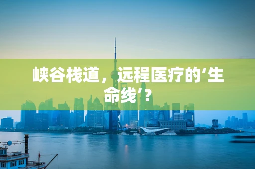 峡谷栈道，远程医疗的‘生命线’？