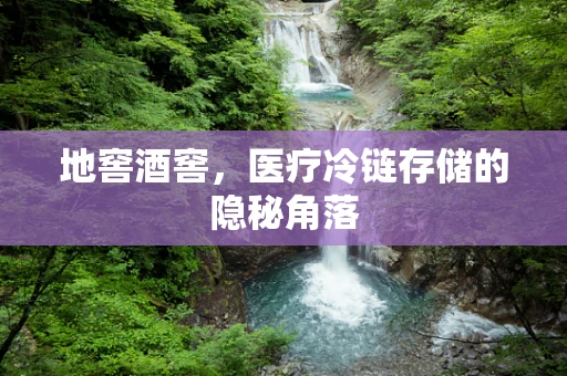地窖酒窖，医疗冷链存储的隐秘角落