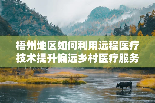 梧州地区如何利用远程医疗技术提升偏远乡村医疗服务？