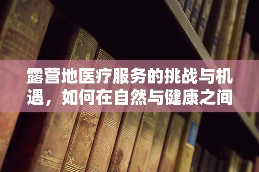 露营地医疗服务的挑战与机遇，如何在自然与健康之间架起桥梁？