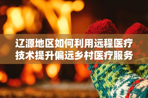 辽源地区如何利用远程医疗技术提升偏远乡村医疗服务？