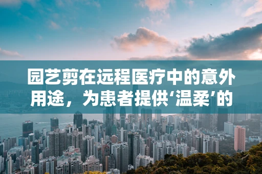 园艺剪在远程医疗中的意外用途，为患者提供‘温柔’的护理辅助