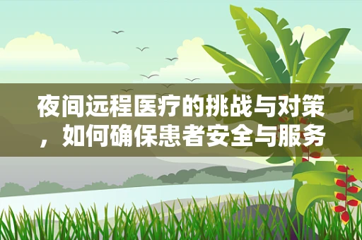 夜间远程医疗的挑战与对策，如何确保患者安全与服务质量？