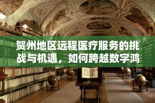 贺州地区远程医疗服务的挑战与机遇，如何跨越数字鸿沟？