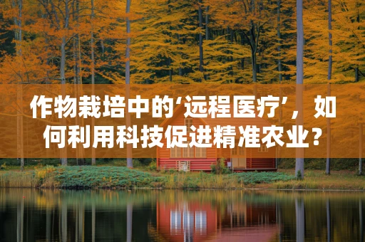 作物栽培中的‘远程医疗’，如何利用科技促进精准农业？