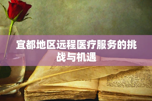 宜都地区远程医疗服务的挑战与机遇