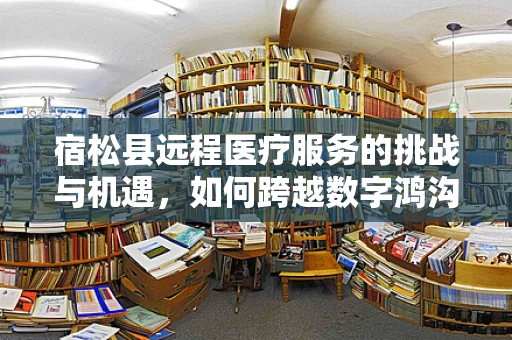 宿松县远程医疗服务的挑战与机遇，如何跨越数字鸿沟？
