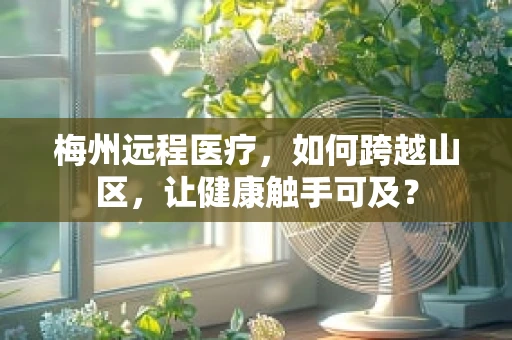 梅州远程医疗，如何跨越山区，让健康触手可及？