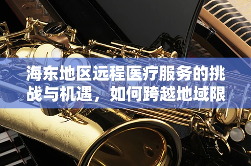 海东地区远程医疗服务的挑战与机遇，如何跨越地域限制，实现医疗资源均衡？