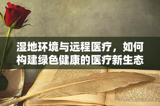 湿地环境与远程医疗，如何构建绿色健康的医疗新生态？