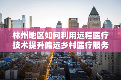 林州地区如何利用远程医疗技术提升偏远乡村医疗服务？