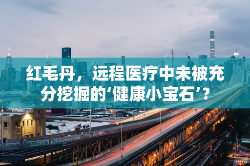 红毛丹，远程医疗中未被充分挖掘的‘健康小宝石’？