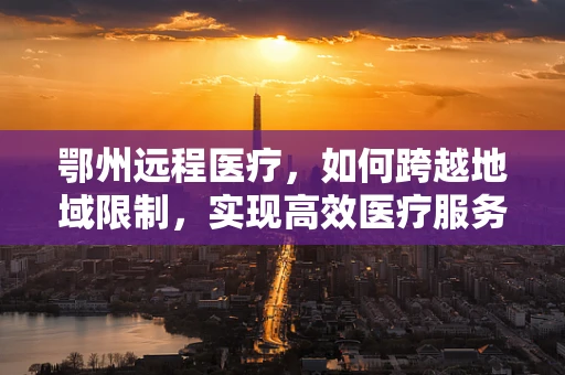 鄂州远程医疗，如何跨越地域限制，实现高效医疗服务？