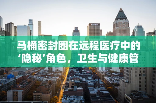 马桶密封圈在远程医疗中的‘隐秘’角色，卫生与健康管理的微妙联系
