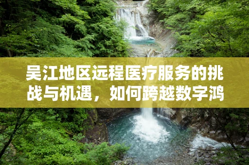 吴江地区远程医疗服务的挑战与机遇，如何跨越数字鸿沟？