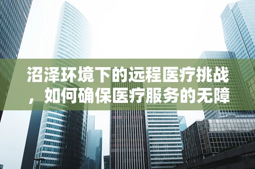 沼泽环境下的远程医疗挑战，如何确保医疗服务的无障碍传递？