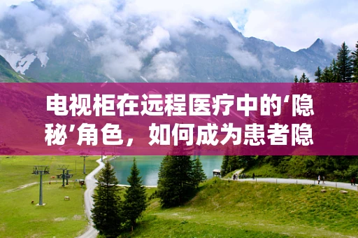 电视柜在远程医疗中的‘隐秘’角色，如何成为患者隐私的守护者？