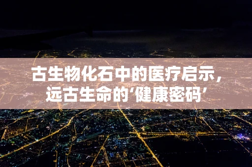 古生物化石中的医疗启示，远古生命的‘健康密码’