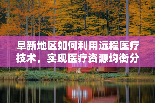 阜新地区如何利用远程医疗技术，实现医疗资源均衡分配？
