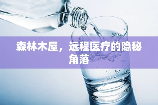森林木屋，远程医疗的隐秘角落