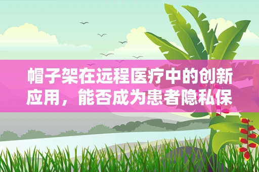 帽子架在远程医疗中的创新应用，能否成为患者隐私保护的守护者？