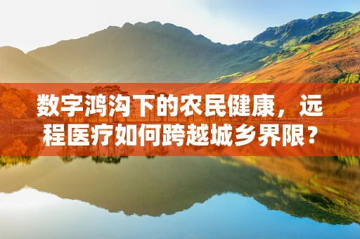 数字鸿沟下的农民健康，远程医疗如何跨越城乡界限？