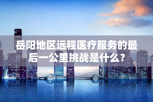 岳阳地区远程医疗服务的最后一公里挑战是什么？