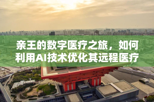 亲王的数字医疗之旅，如何利用AI技术优化其远程医疗服务体验？