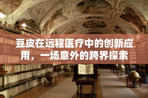 豆皮在远程医疗中的创新应用，一场意外的跨界探索