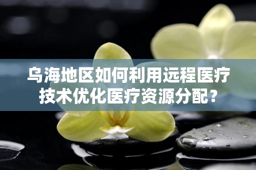乌海地区如何利用远程医疗技术优化医疗资源分配？
