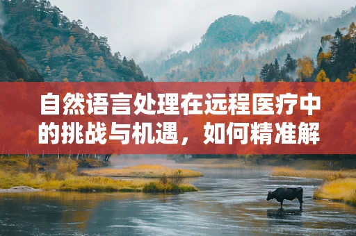 自然语言处理在远程医疗中的挑战与机遇，如何精准解析患者描述？