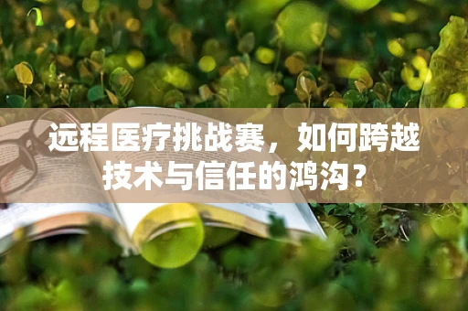 远程医疗挑战赛，如何跨越技术与信任的鸿沟？