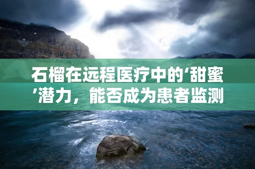 石榴在远程医疗中的‘甜蜜’潜力，能否成为患者监测的天然助手？