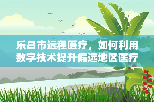 乐昌市远程医疗，如何利用数字技术提升偏远地区医疗服务？