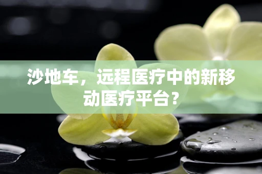 沙地车，远程医疗中的新移动医疗平台？